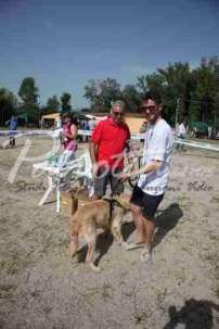 2 Esposizione canina 29.6.2014 Pico - IMG_4079